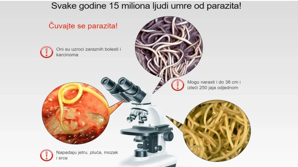 ako to funguje - ako pouzivat - prísady - účinky - zloženie - dávkovanie - skusenosti - ingrediencie - čo to je